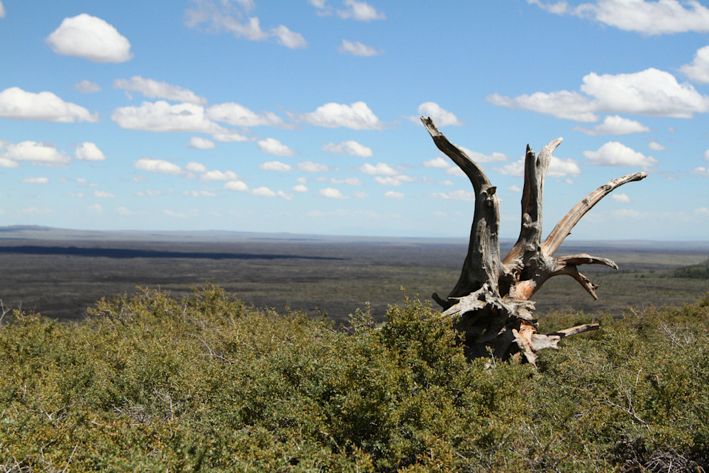 Img 5161 Photography Art | Captured Adventure Photography