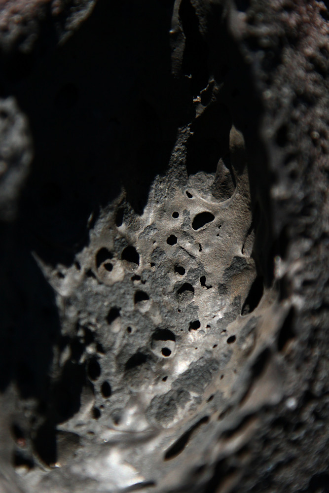 Img 5269 Photography Art | Captured Adventure Photography