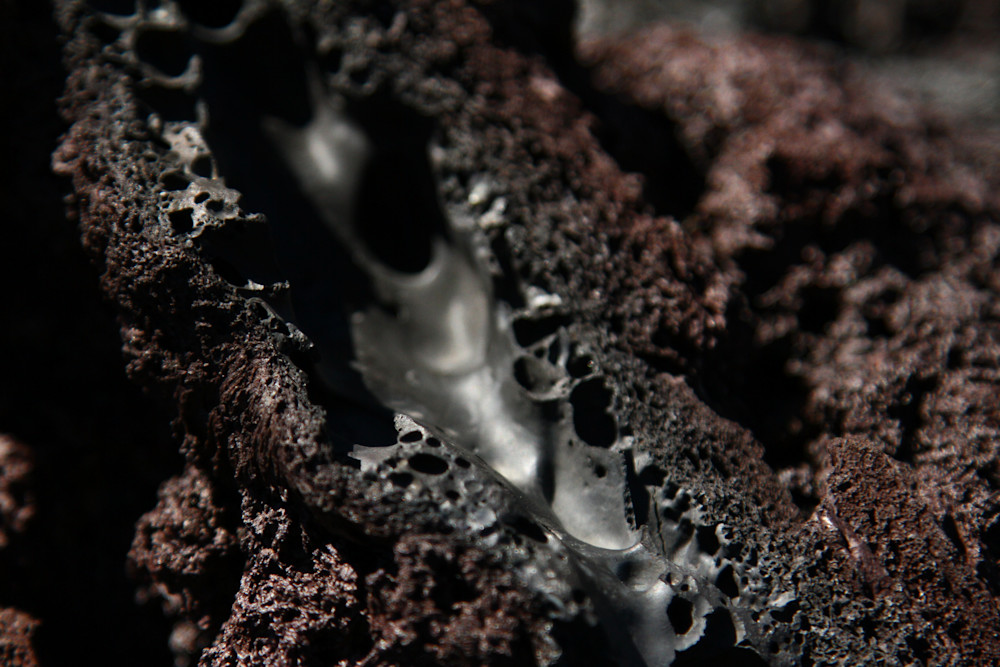 Img 5281 Photography Art | Captured Adventure Photography