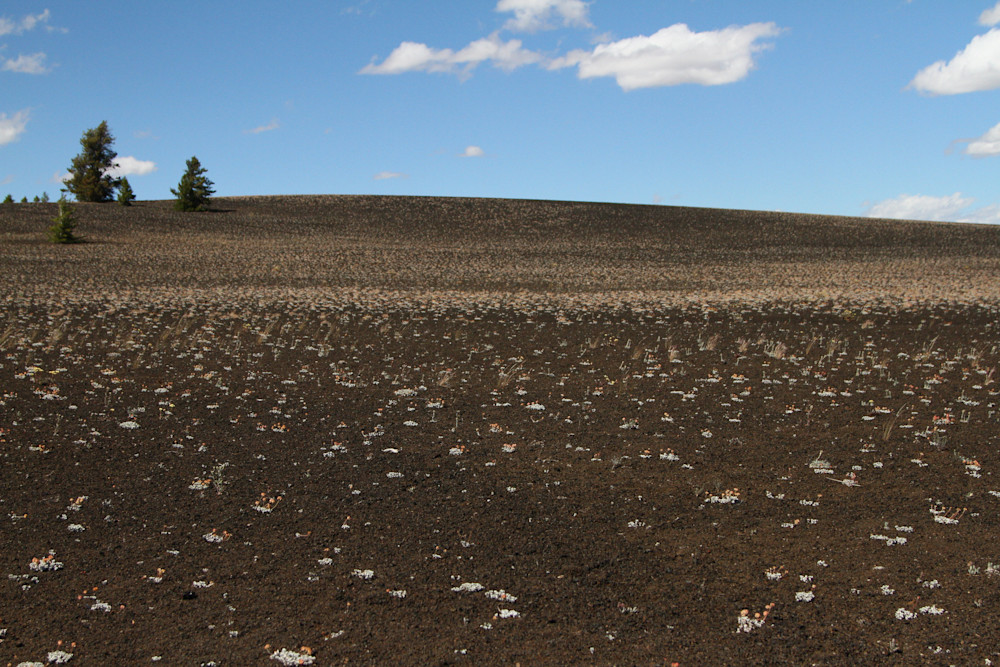 Img 5330 Photography Art | Captured Adventure Photography