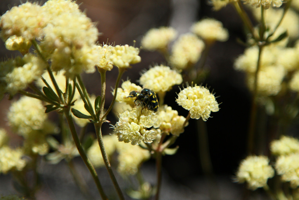 Img 5357 Photography Art | Captured Adventure Photography