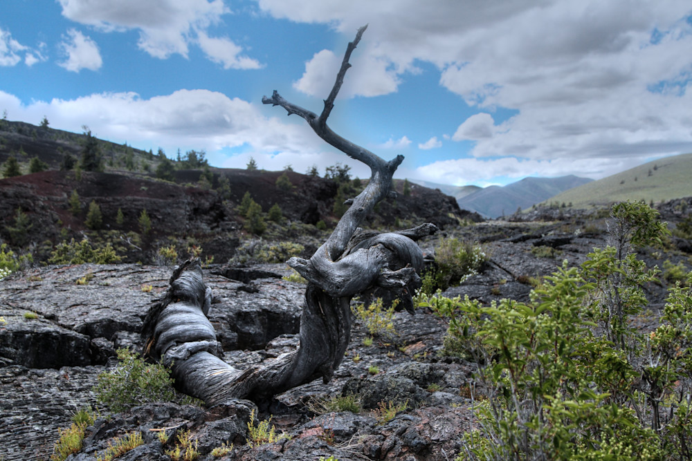 Img 508567 Photography Art | Captured Adventure Photography