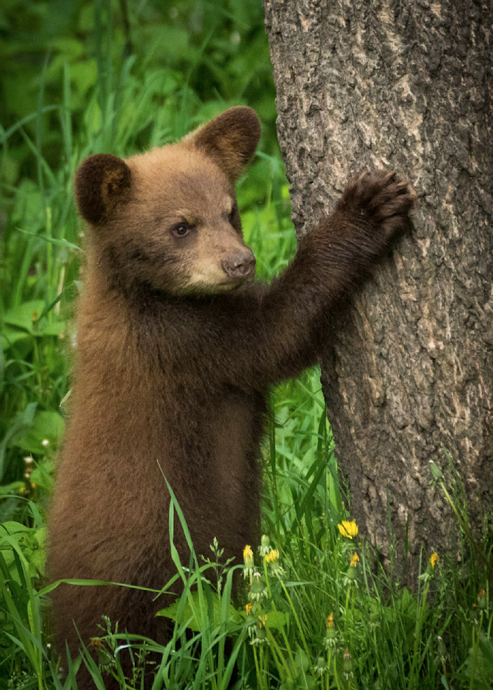 S00 A1187 Photography Art | Captured Adventure Photography