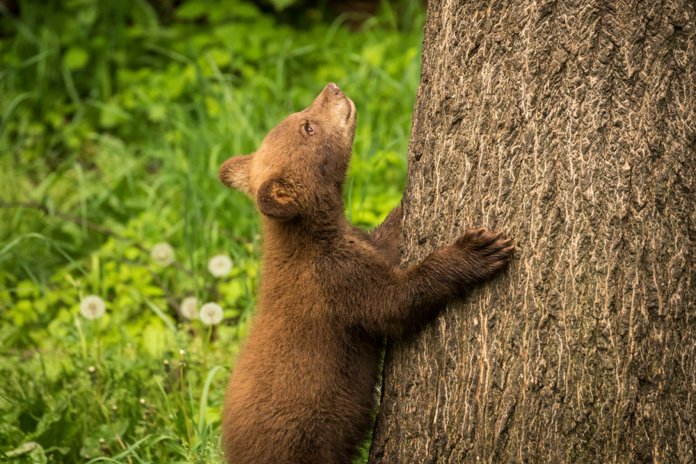 S00 A1417 Photography Art | Captured Adventure Photography