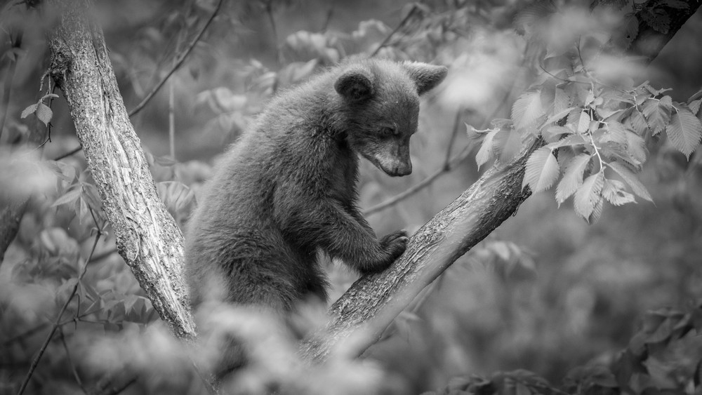 S00 A1426 1 Photography Art | Captured Adventure Photography