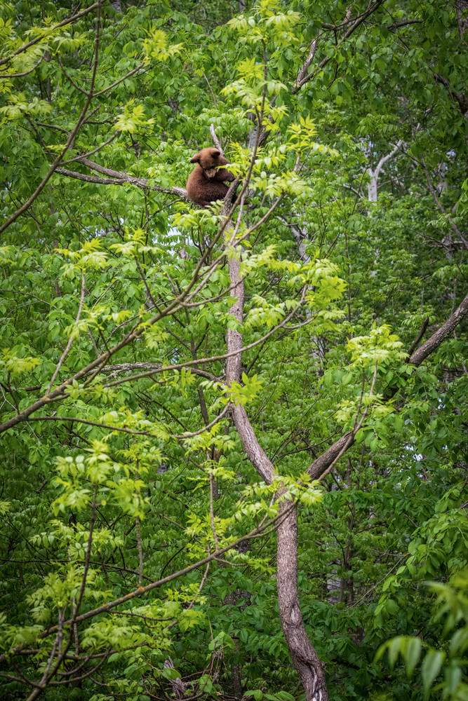 S00 A1471 Photography Art | Captured Adventure Photography