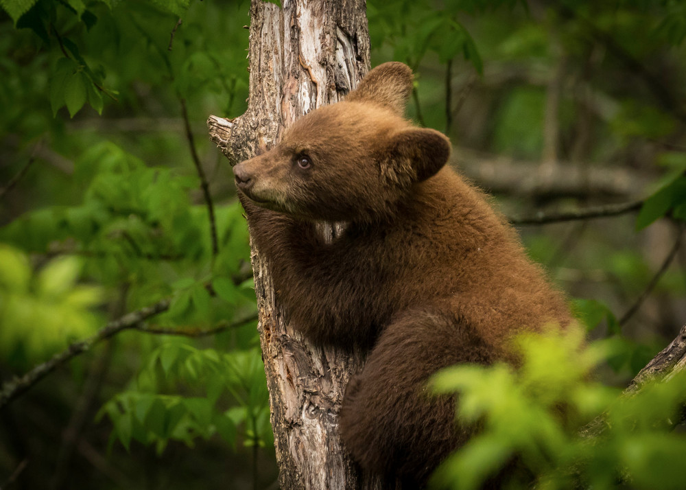 S00 A1528 Photography Art | Captured Adventure Photography