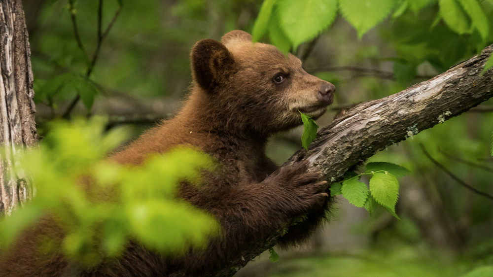 S00 A1549 Photography Art | Captured Adventure Photography