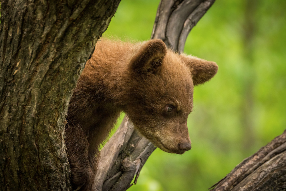 S00 A1670 Photography Art | Captured Adventure Photography