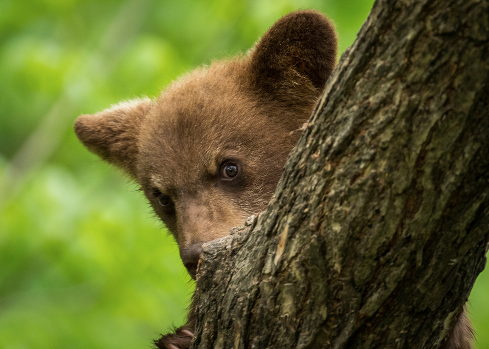 S00 A1681 Photography Art | Captured Adventure Photography