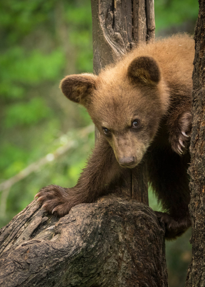 S00 A1721 Photography Art | Captured Adventure Photography