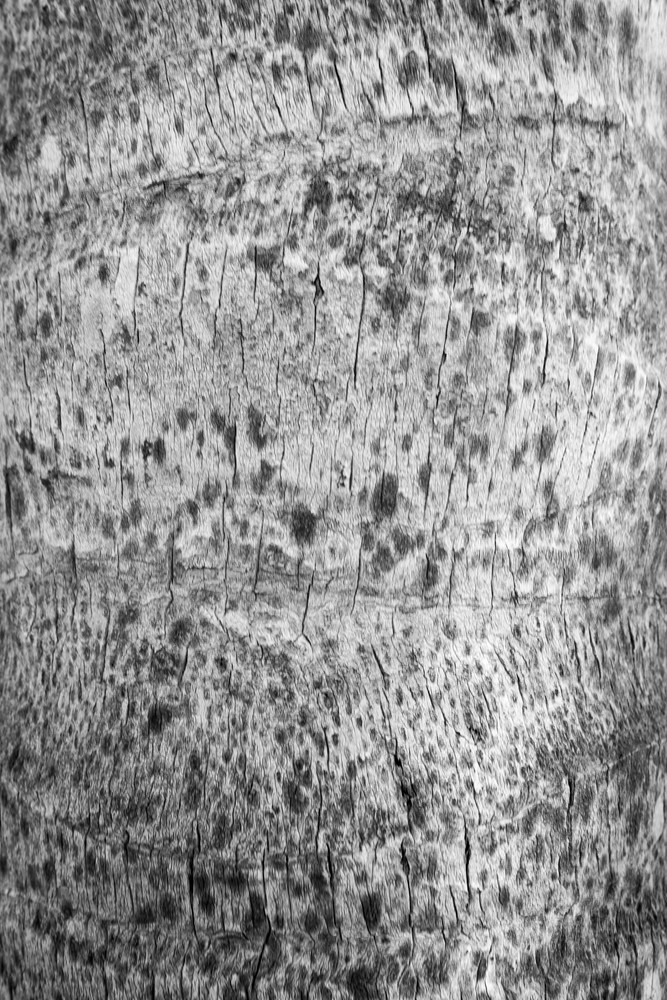 Mg 0037 Photography Art | Captured Adventure Photography