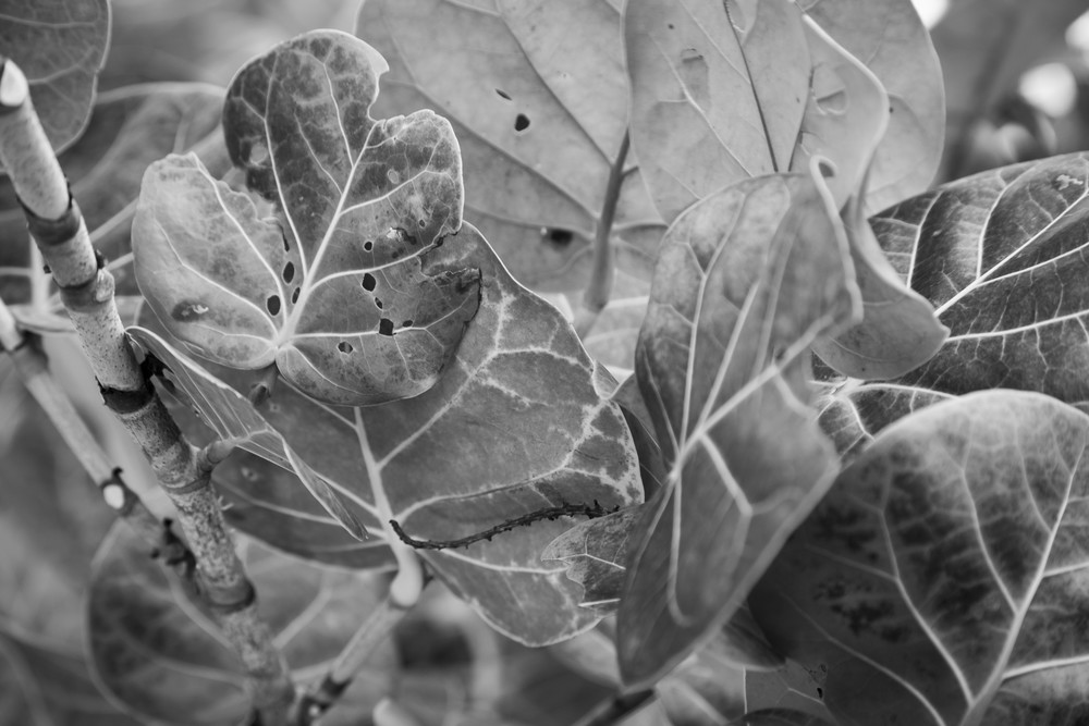 Mg 0217 Photography Art | Captured Adventure Photography