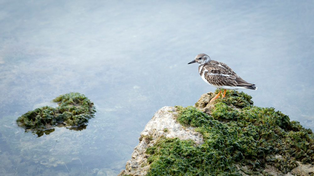 Mg 0280 Photography Art | Captured Adventure Photography