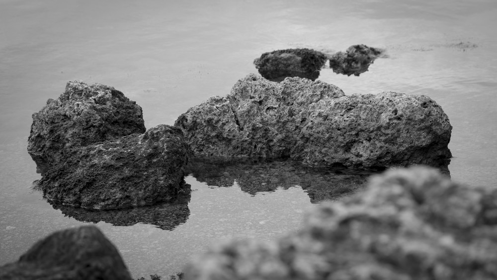 Mg 0302 Photography Art | Captured Adventure Photography