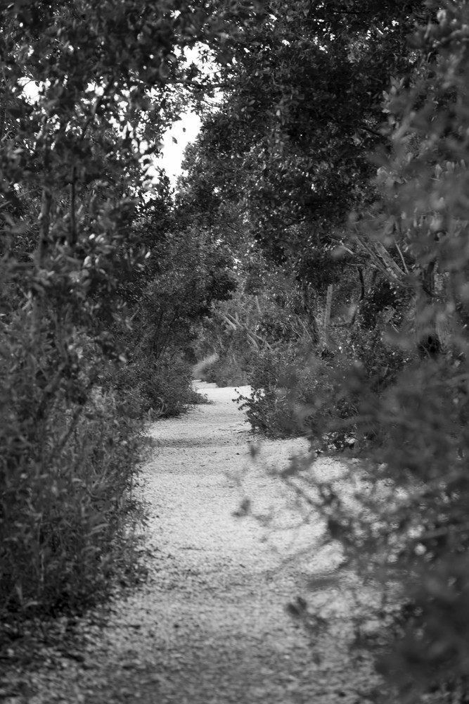 Mg 0312 Photography Art | Captured Adventure Photography