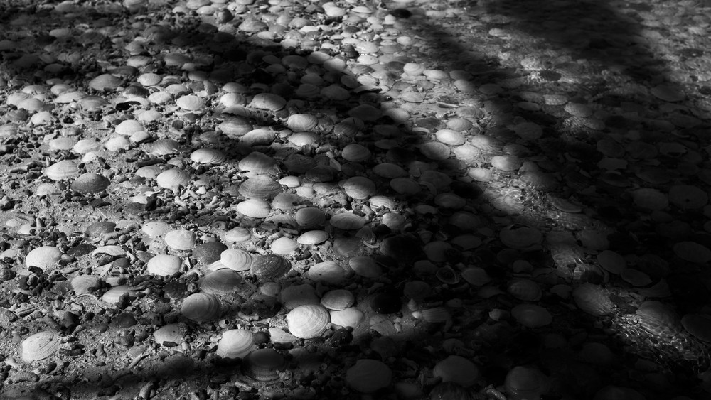 Mg 9764 1 Photography Art | Captured Adventure Photography