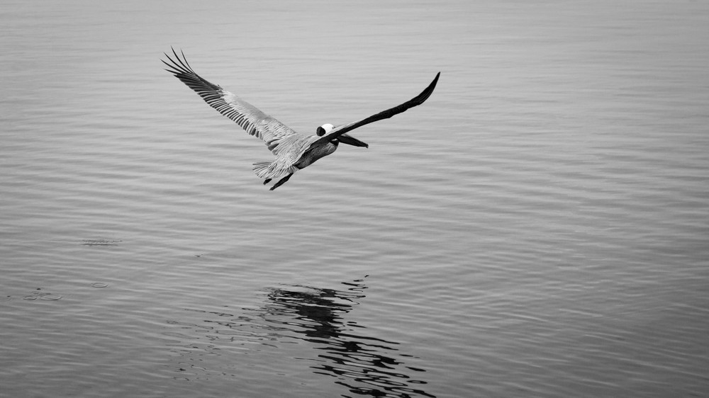 Mg 0348 Photography Art | Captured Adventure Photography