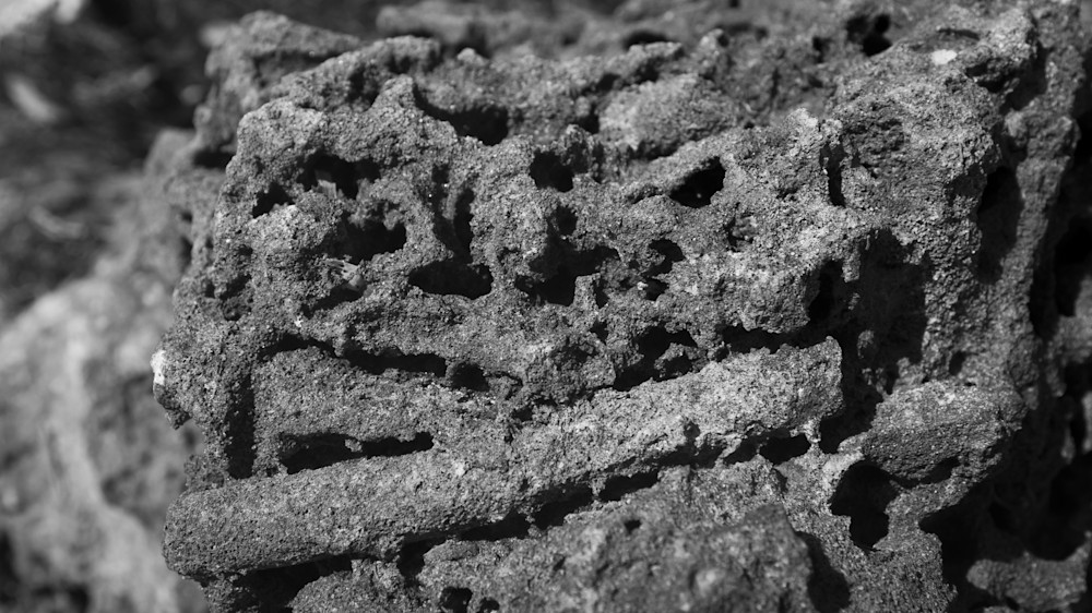 Mg 9793 Photography Art | Captured Adventure Photography