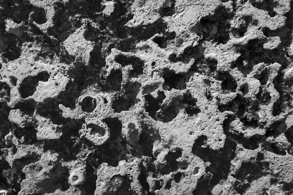 Mg 9878 Photography Art | Captured Adventure Photography