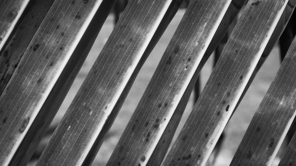 Mg 9908 Photography Art | Captured Adventure Photography