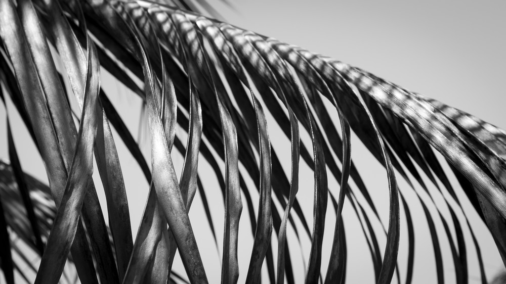 Mg 9921 Photography Art | Captured Adventure Photography