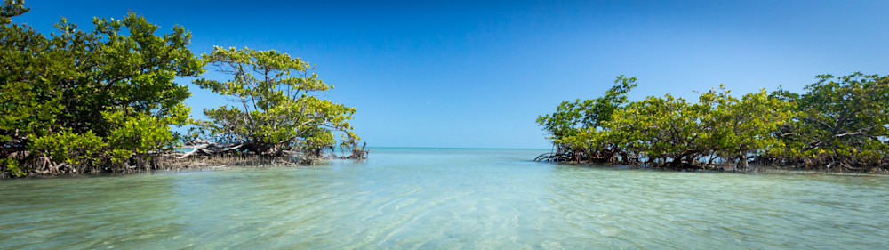 Mg 9940 Photography Art | Captured Adventure Photography