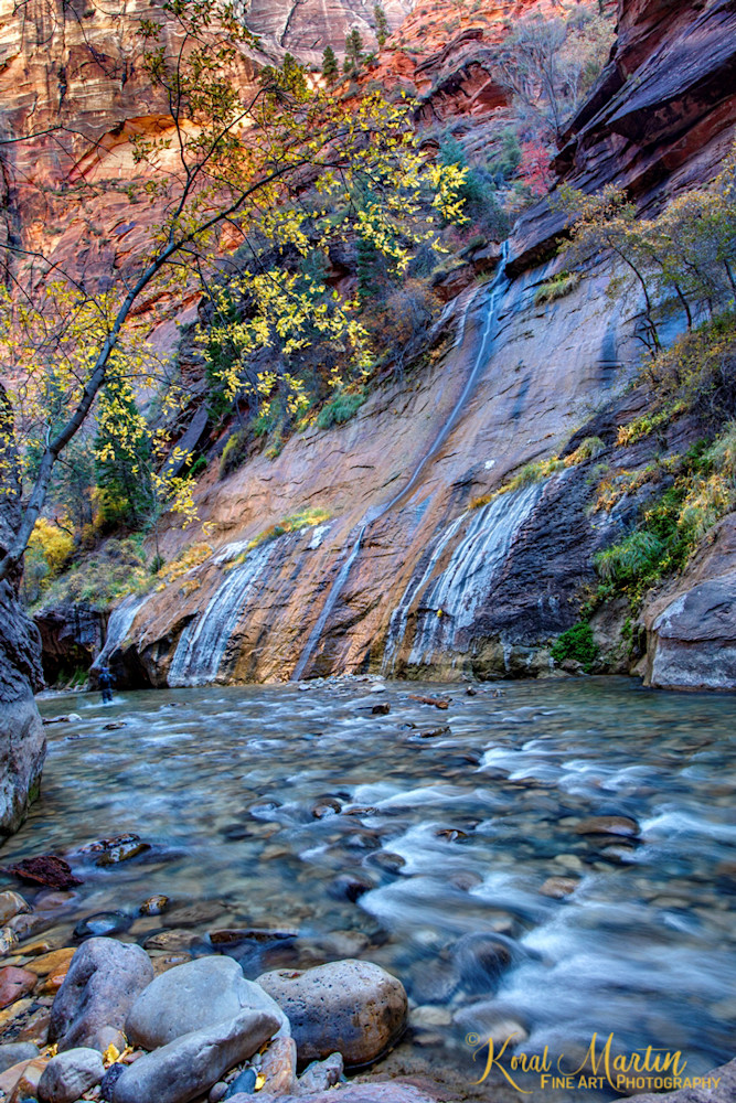 Zion Narrows Waterfall Photograph 2804| Zion Narrows | Zion National Park | Canyon Photography | Koral Martin Fine Art Photography Zion Narrows Waterfall Photograph 2804| Zion Narrows | Zion National Park | Canyon Photography | Koral Martin Fine Art Photography
