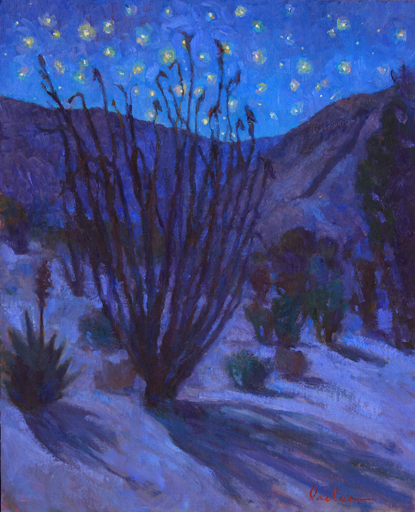 Desert Starlight by Rose Irelan