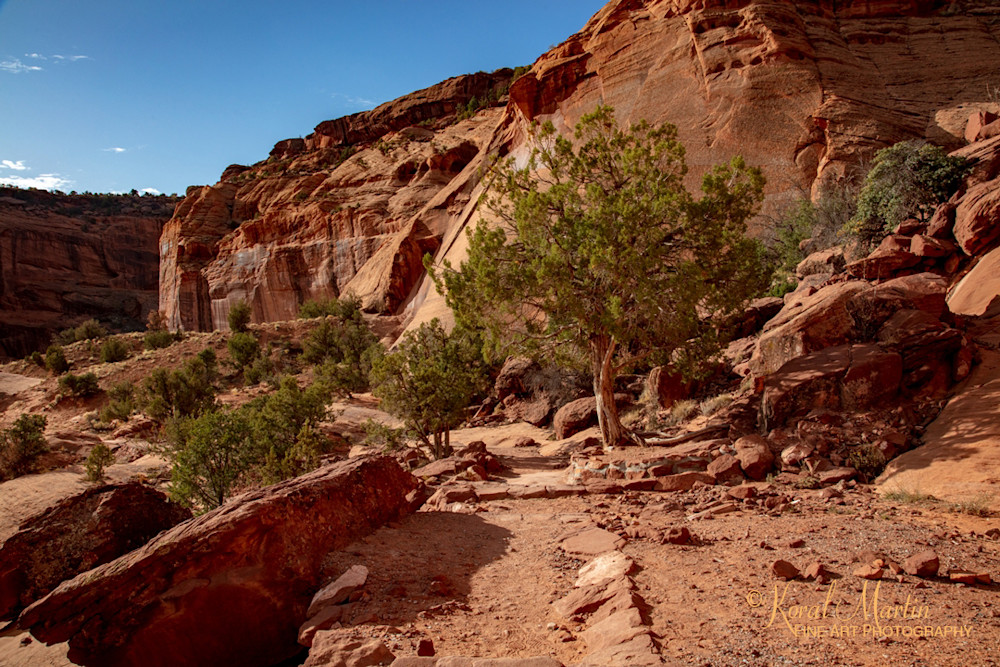 Canyon De Chelly View 3568 U 19 Art | Koral Martin Fine Art Photography Canyon De Chelly View 3568 U 19 Art | Koral Martin Fine Art Photography