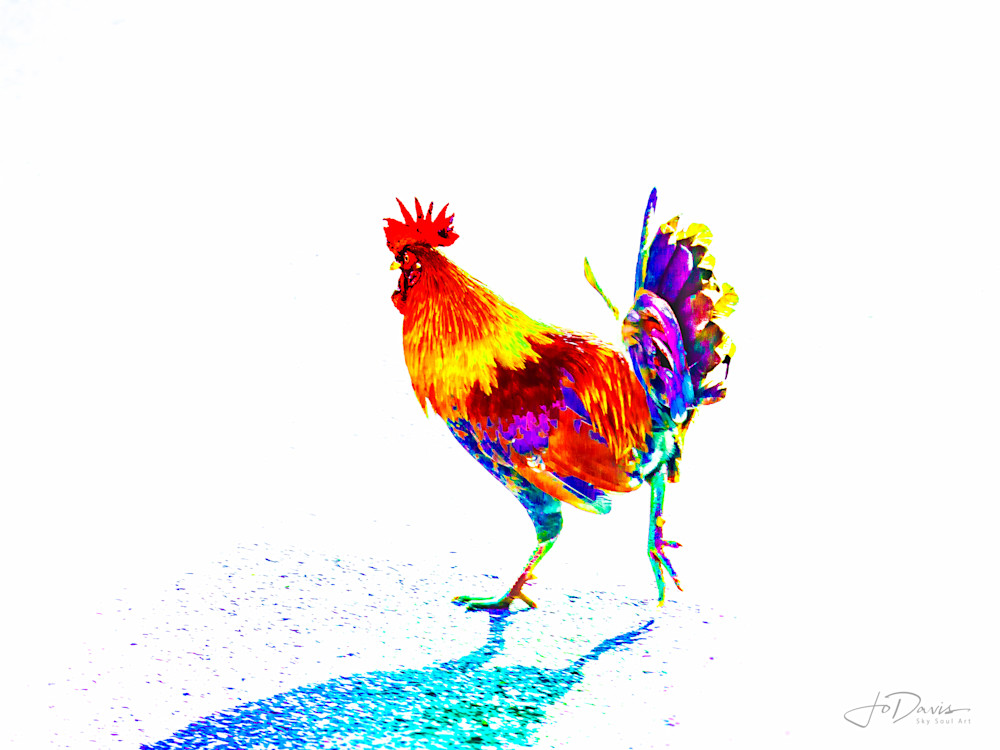 Pop Art Chicken Running 