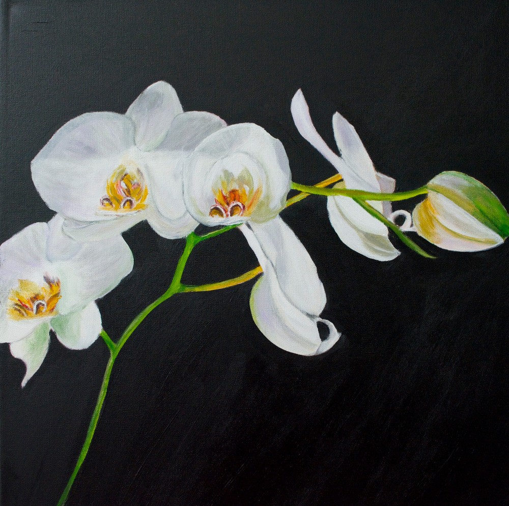 White Orchids Art | Marie Art Gallery