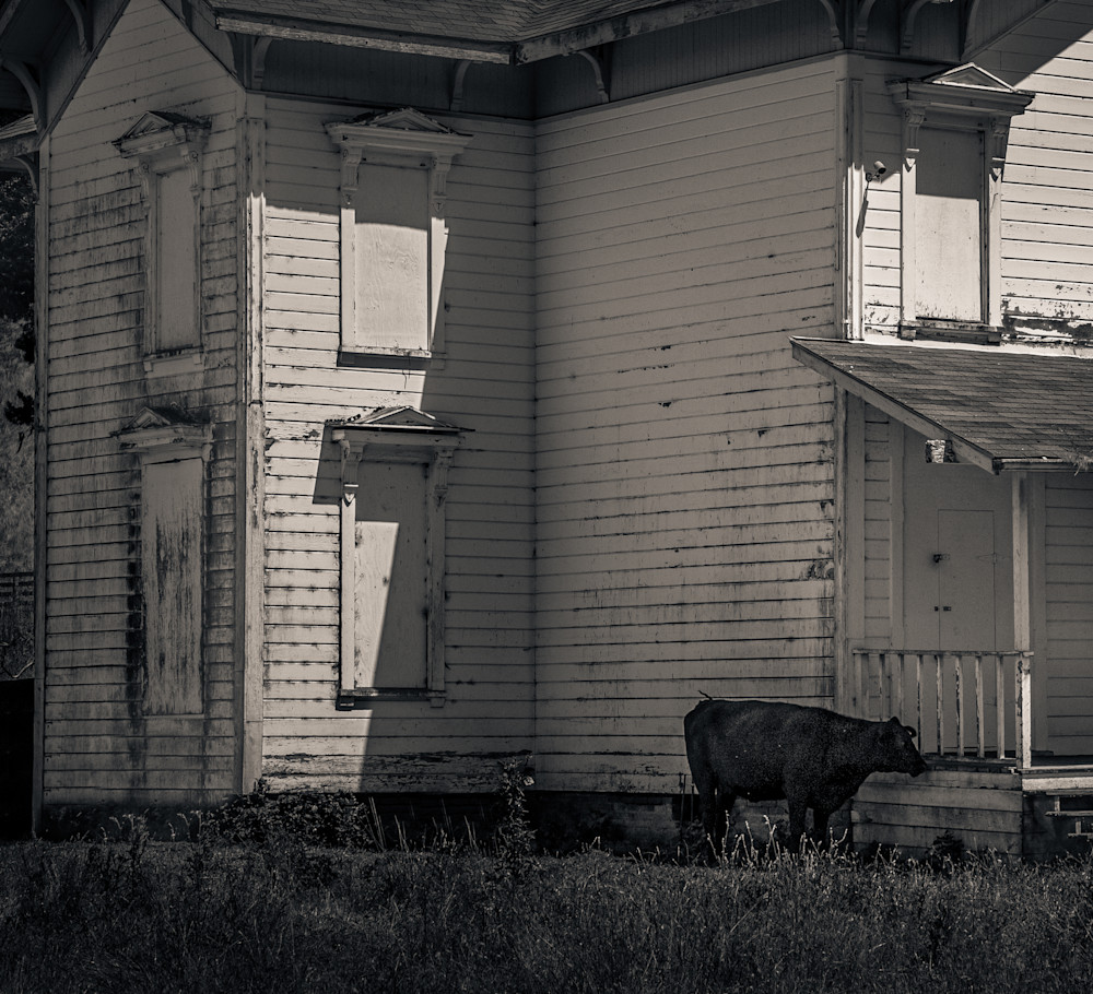 Abandoned House Pt Reyes Photography Art | Dan Katz, Inc.