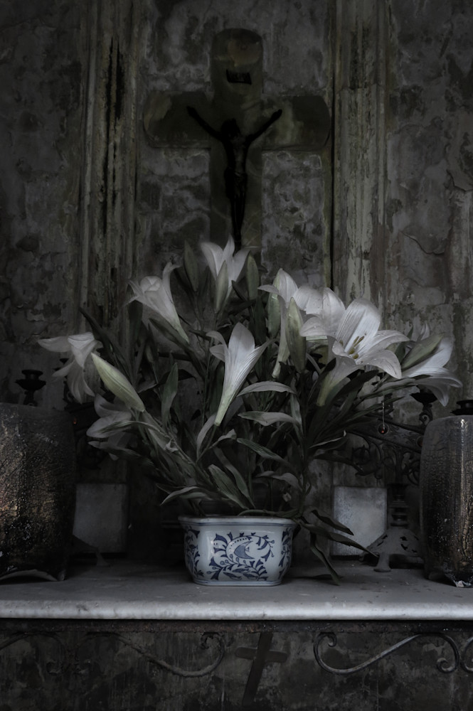 Lilies In Blue Willow Photography Art | Dan Katz, Inc.