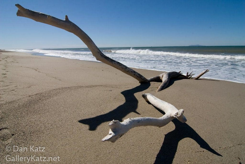 Driftwood And Surf Art | Dan Katz Photography