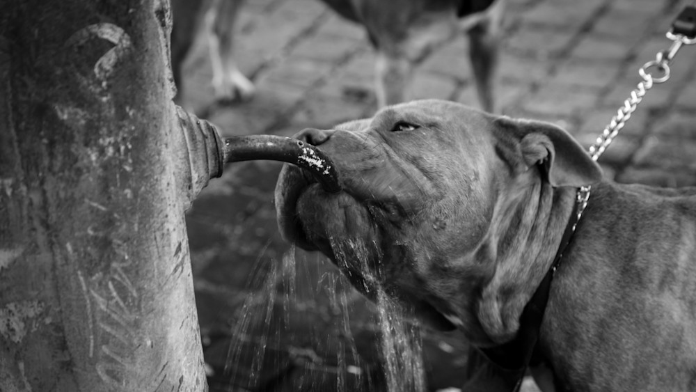 0 Y4 A1107 Photography Art | Captured Adventure Photography