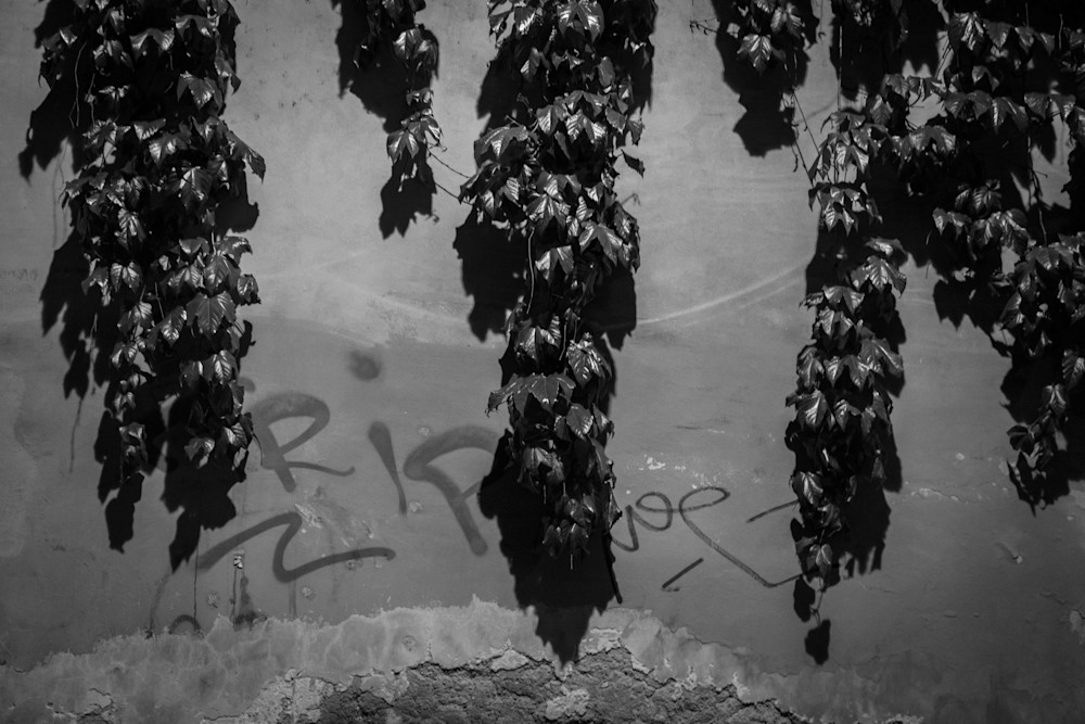 0 Y4 A1224 Photography Art | Captured Adventure Photography