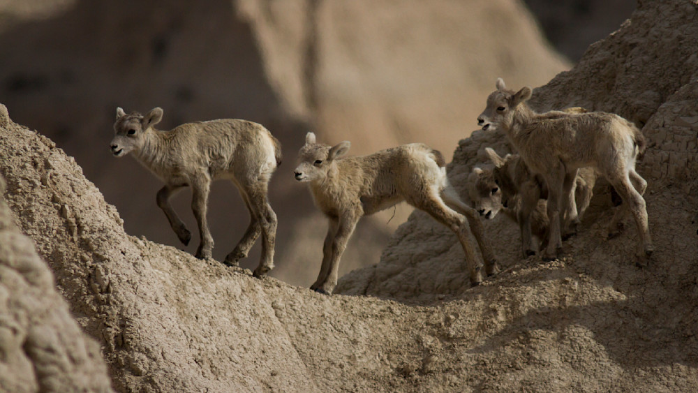 Img 4456 Photography Art | Captured Adventure Photography