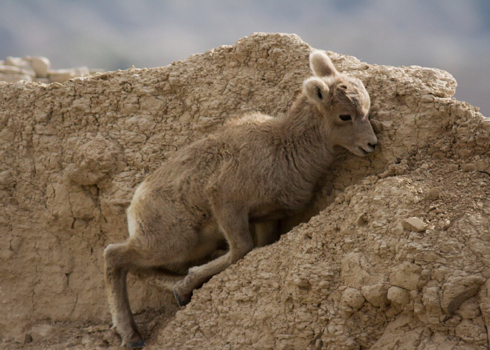 Img 4486 1 Photography Art | Captured Adventure Photography