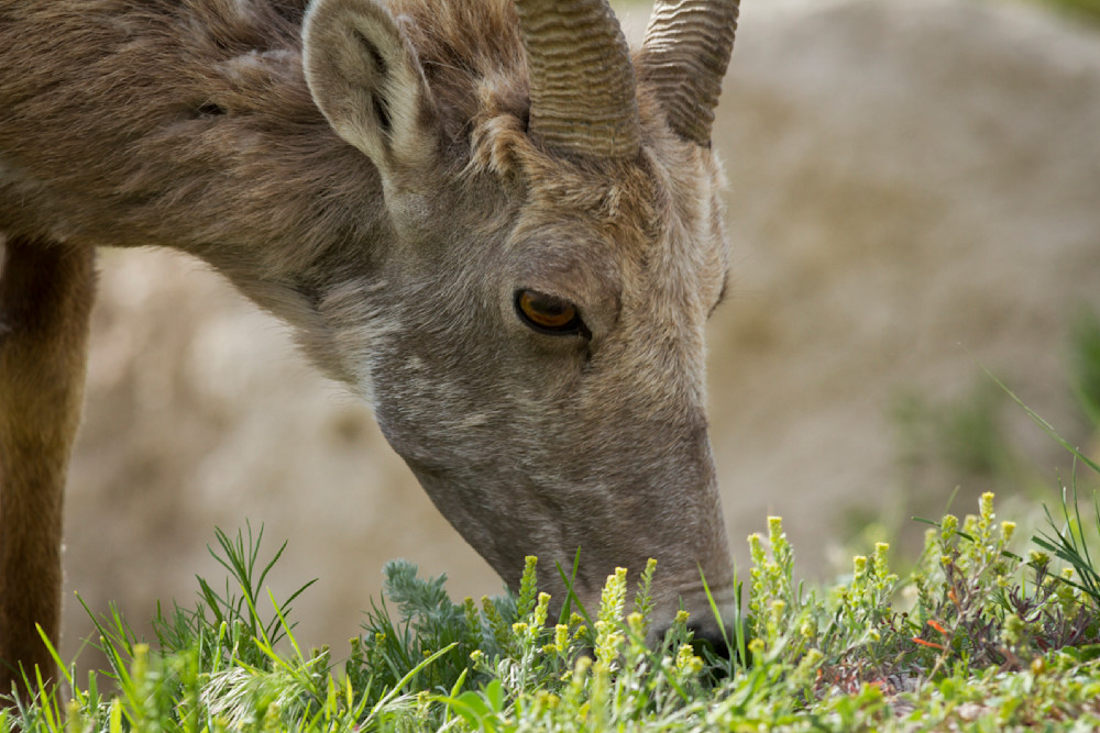 Img 4650 Photography Art | Captured Adventure Photography