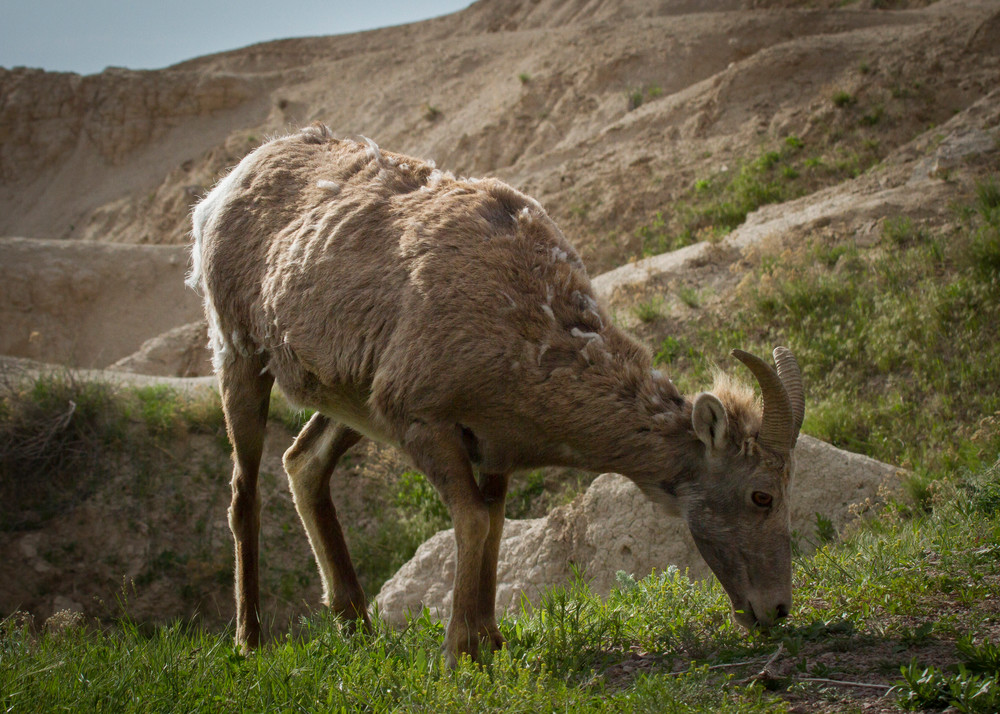 Img 4669 Photography Art | Captured Adventure Photography