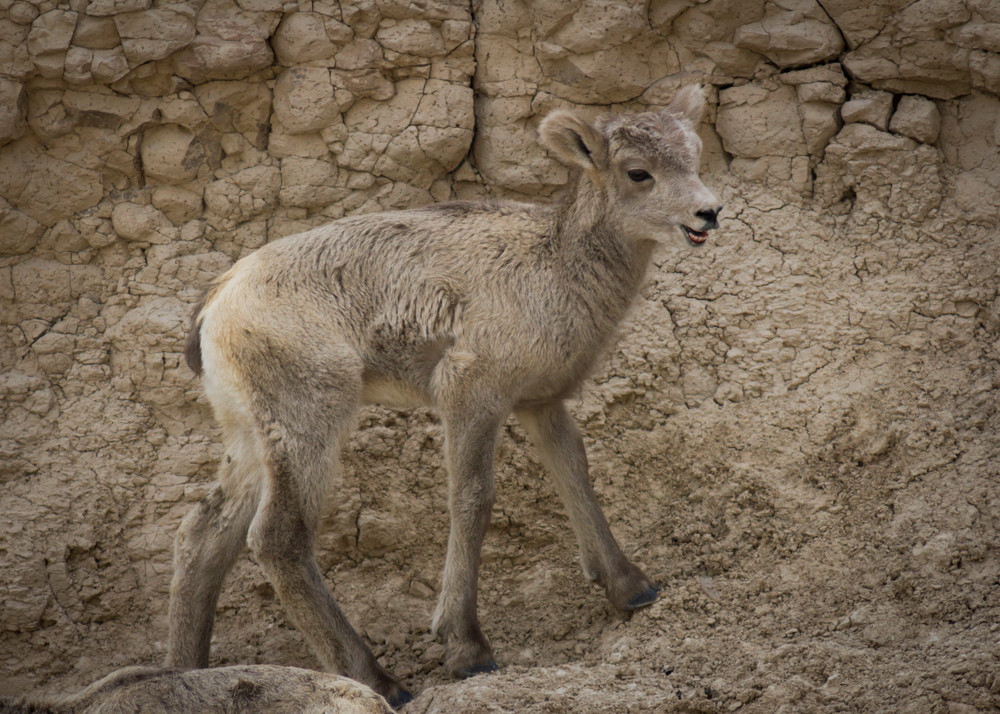 Img 4599 Photography Art | Captured Adventure Photography