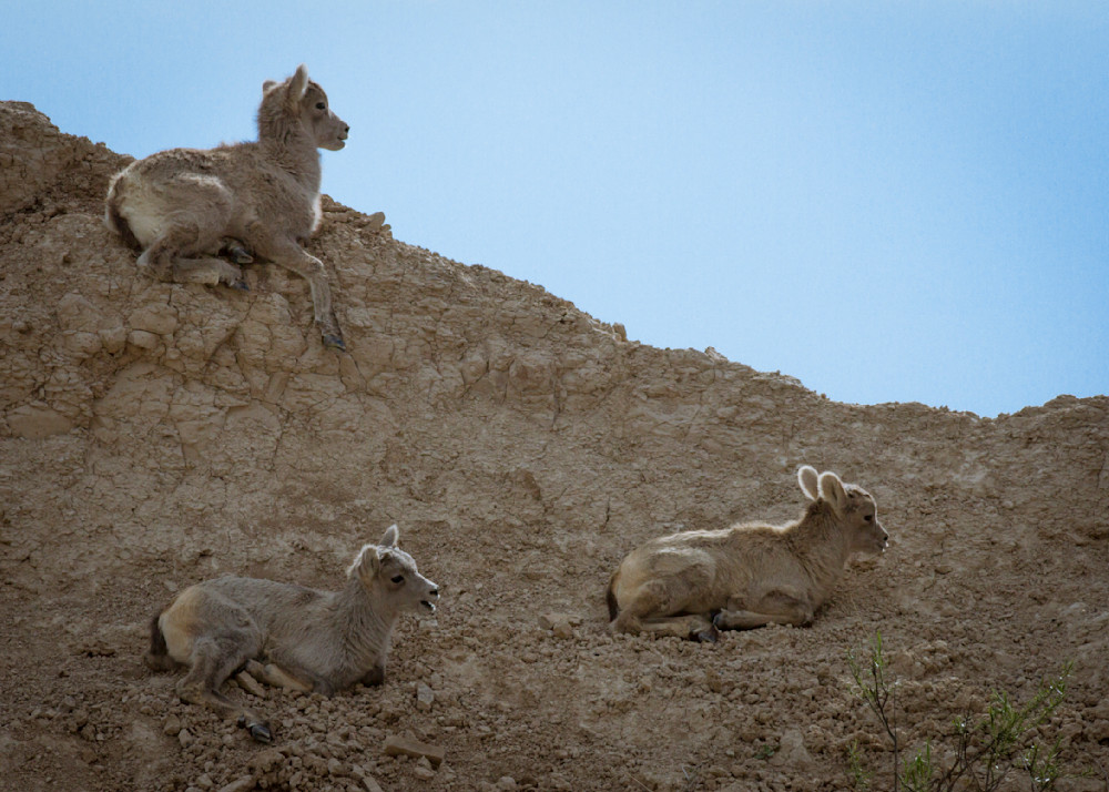 Img 4546 Photography Art | Captured Adventure Photography