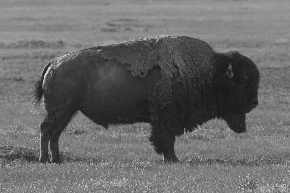 Img 4774 Photography Art | Captured Adventure Photography