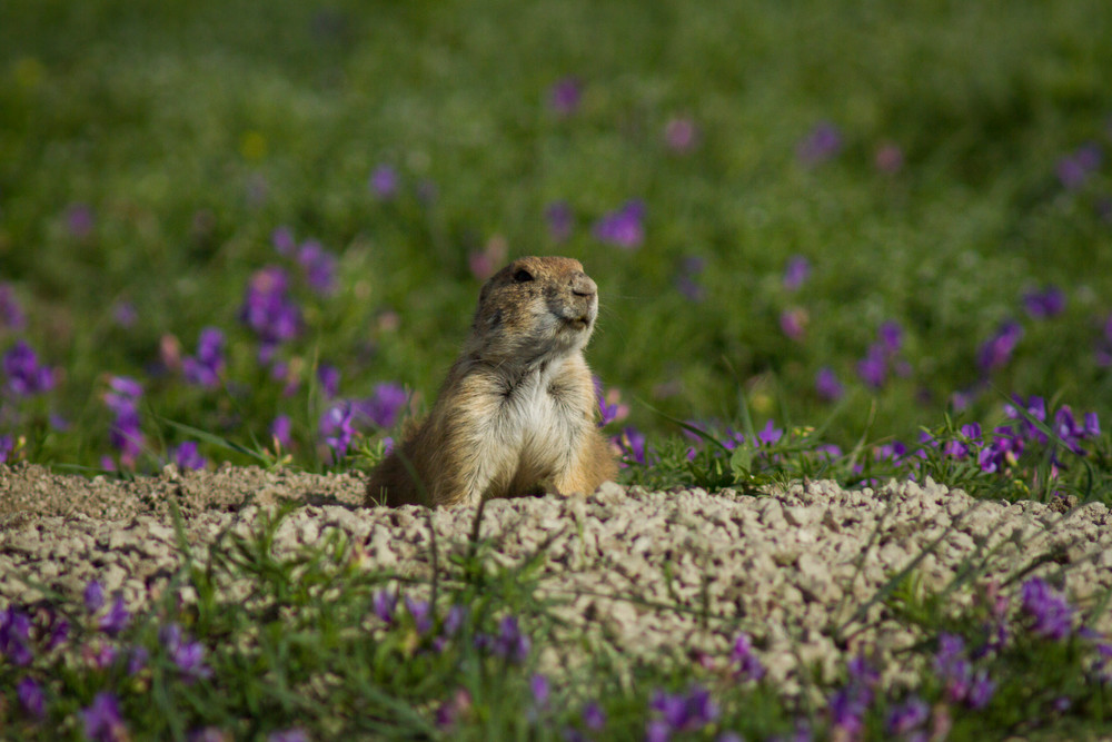 Img 4720 Photography Art | Captured Adventure Photography