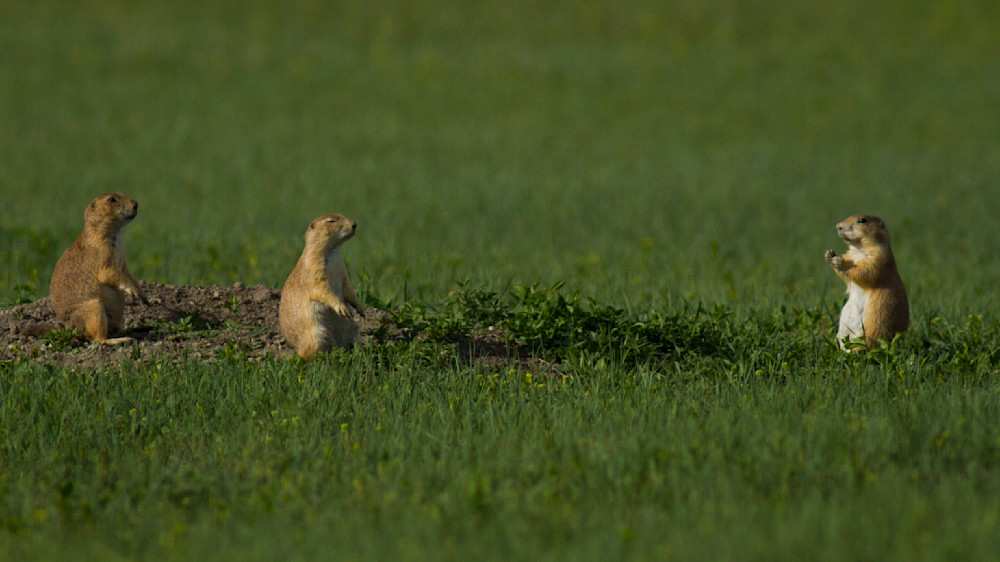 Img 4783 Photography Art | Captured Adventure Photography