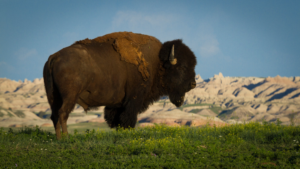 Img 4921 1 Photography Art | Captured Adventure Photography