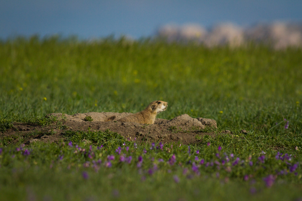 Img 4816 Photography Art | Captured Adventure Photography