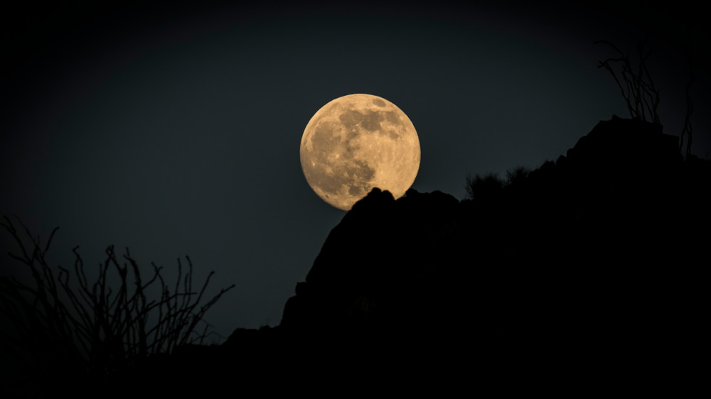 S00 A0717 Photography Art | Captured Adventure Photography