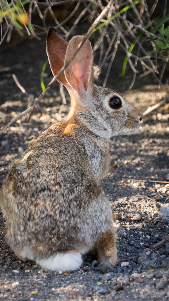 S00 A0654 Photography Art | Captured Adventure Photography